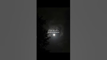 آجر لي ولكم سوره الحاقه- #قرآن #اكسبلور #المصحف #جيش_الفراشات