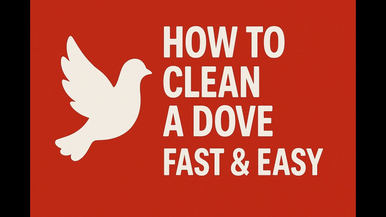 How to clean a dove - fast and easy!