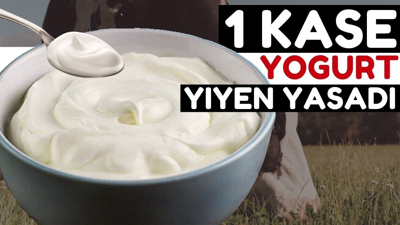 gunde 1 kase yogurt yemek vucudunuza bunlari yapiyor yogurdun faydalari nelerdir youtube