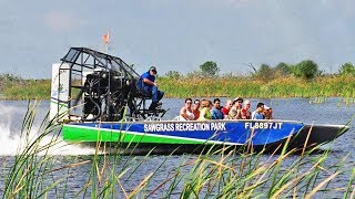 Florida Everglades Airboat Adventure and Wildlife Encounter
