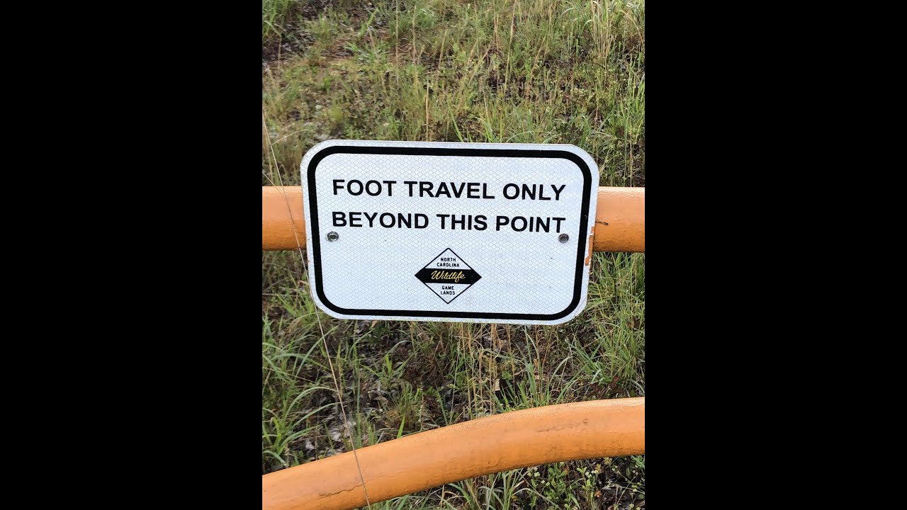 1Shot Turkey Hunting 2022, Beards And Spurs Ocean, Beach, Birds