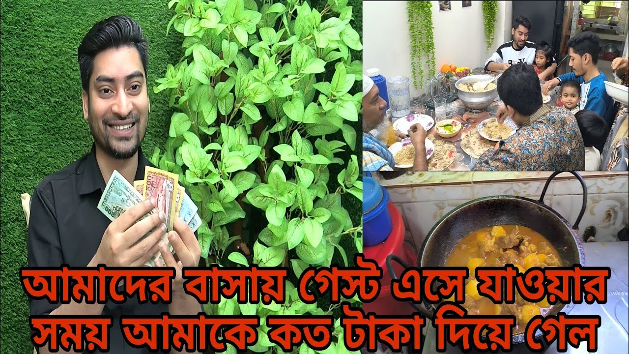 আমাদের বাসায় গেস্ট এসে যাওয়ার সময় আমাকে কত টাকা দিয়ে গেল familyvlog Raj Single Father
