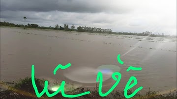 Cắm Câu Bắt Cá Đồng Mùa Nước Nổi Miền Tây I Tin2020 vlog #7