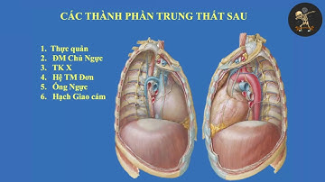 TRUNG THẤT | Ôn thi SĐH I PGS. TS. BS. NGÔ XUÂN KHOA