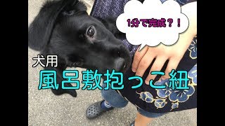 大型犬の抱っこ紐は風呂敷で作ろう!1分で出来る簡単な作り方とは!?