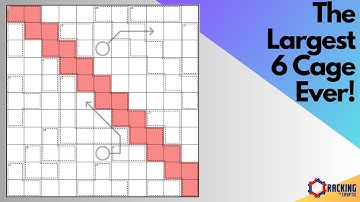 The Largest 6 Cage Ever!