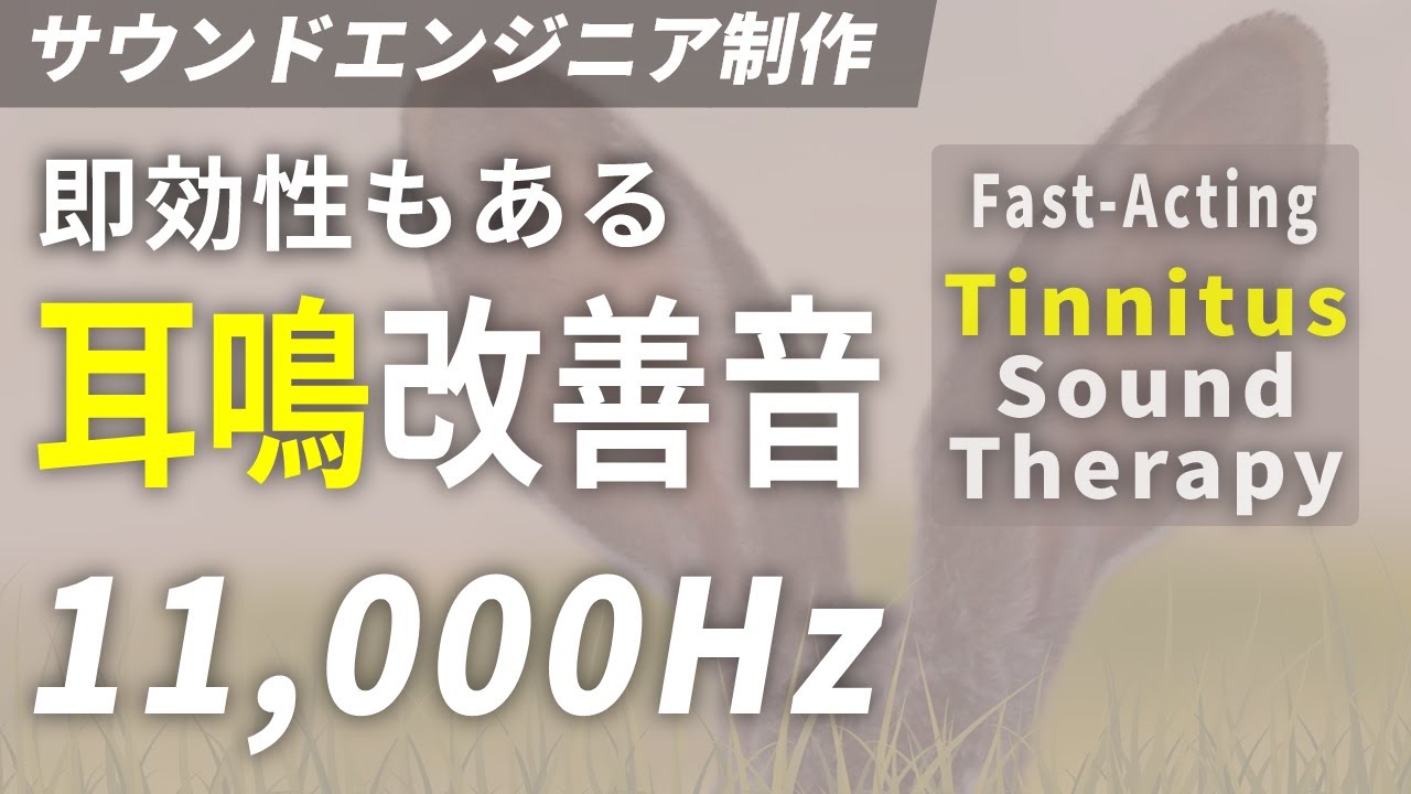 耳鳴り改善音 高音域 11,000Hz × ホワイトノイズ | 耳鳴り治療音