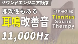 耳鳴り改善音 高音域 11,000Hz × ホワイトノイズ | 耳鳴り治療音