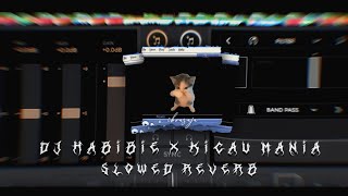 Dj Habibie X Kicau Mania Viral Tik Tok Slowed Reveeb