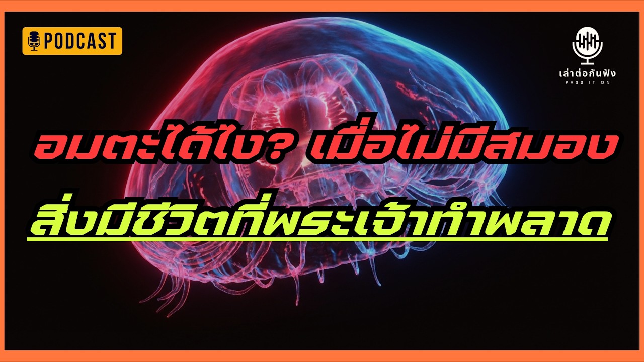 อมตะได้ไง? เมื่อไม่มีสมอง | สิ่งมีชีวิตที่พระเจ้าทำพลาด #เล่าต่อกันฟัง