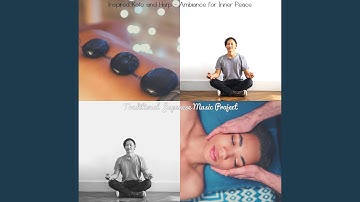 Sensational Koto and Strings - Vibe for Zen Gardens