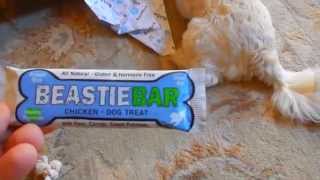 BarkBox Unboxing August 2015 | Bella Approved!