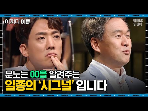권수영 교수 #03 | 한국인들의 고질병인 화병🔥 현대인들이 몸속에 '화'를 안고 사는 이유 | #어쩌다어른 #사피엔스