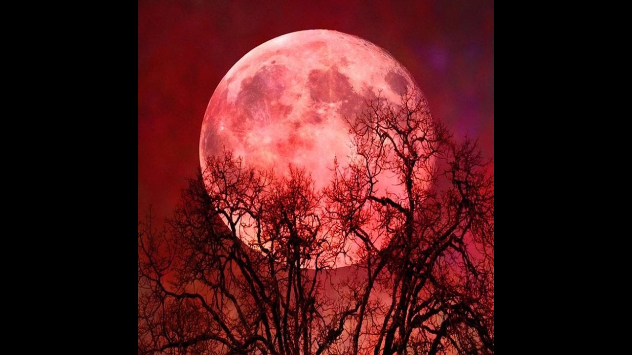 ВСКРЫВАЕМ МАСТИ, КОМУ ВЫ КАК КОСТЬ В ГОРЛЕ🦉😎💯❤🙌