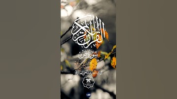 "نفحة عطرة من سورة ص 🎧"