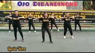 OJO DIBANDINGKE // Tik Tok Viral // Senam kreasi Lucia Vera