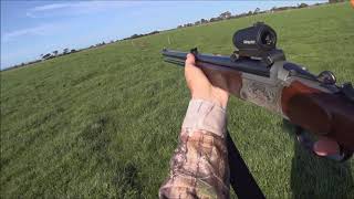 Driven Fox Hunt With Blaser Bbf97 And Dachshunds Victoria 17092017