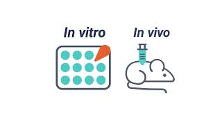 ModTail™ technology |TriLink BioTechnologies