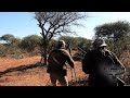 Safari de antlopes en sudfrica  con the hunters dream safari