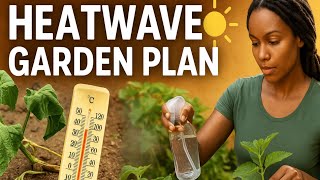Can Your Plants Survive Extreme Heat? Try These Tricks!