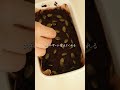 チョコなしで、洗練ローチョコ #shors