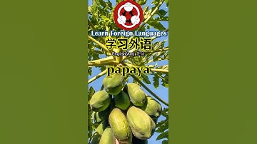 2005 Fruits 水果 How to pronounce papaya 木瓜in American English#shorts #howtopronounce #tropicalfruit