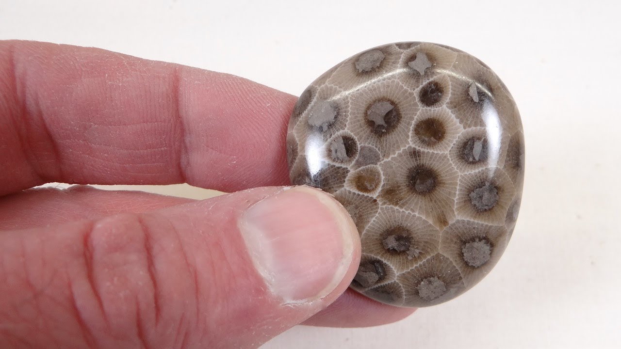 How to Partially Tumble Petoskey Stones YouTube