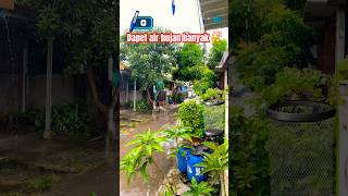 Got Rainwater  trandingshorts trandingshort2025 gameshorts gamepena berandayoutube