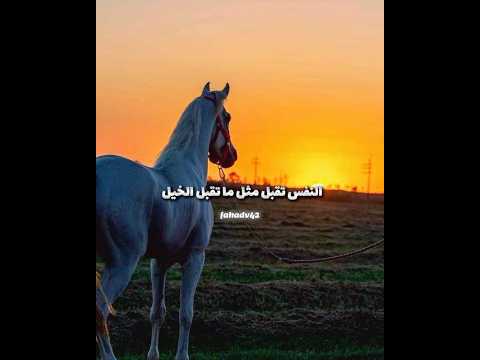 النفس تقبل مثل ماتقبل الخيل شعر