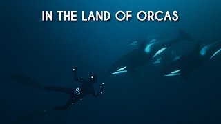 In the Land of Orcas - Freediving with whales in Skjervøy, Norway