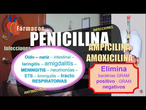 Video: ¿La penicilina y la amoxicilina son lo mismo?