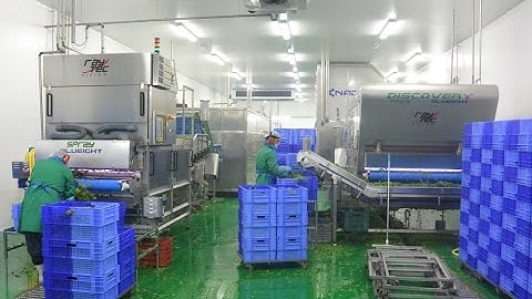 Spray & Discovery optical sorting machines for Baby Leaves | Raytec Vision