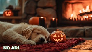 Dog Calming Music for Dogs🐶🌈Beautiful Relaxing Music for Separation Anxiety🎵Deep Sleep Music💖No Ads