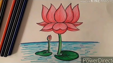 Lotus drawing/Flower drawing/How to draw lotus/lotus flower drawing/How to draw a  lotus flower