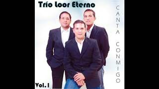 Video thumbnail of "trio loor eterno-  vas a llorar"