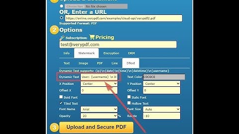 VeryPDF DRM Protector: How Dynamic Text Watermarks Protect PDF Files from Screenshots and Sharing