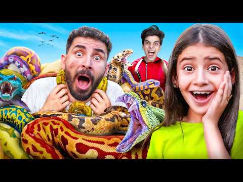 حيوانات خطيره هجمت علي بيتنا الحسين السبب بابا راح فيها 