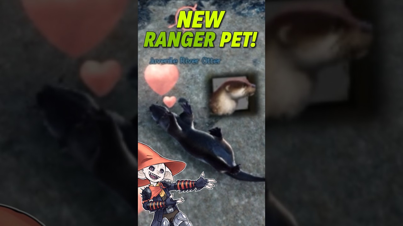 New GW2 Ranger Pet Sneak Peek!