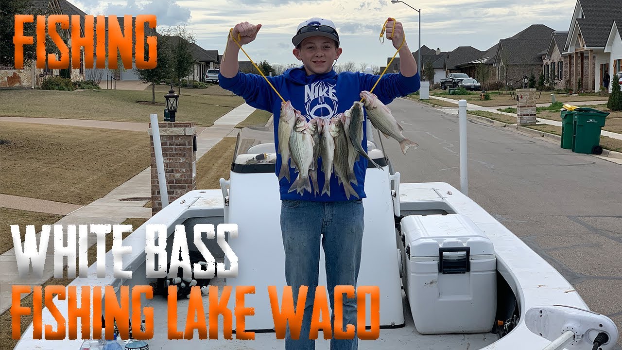 White Bass Fishing In Lake Waco! (Catch, Clean, & Cook) - YouTube