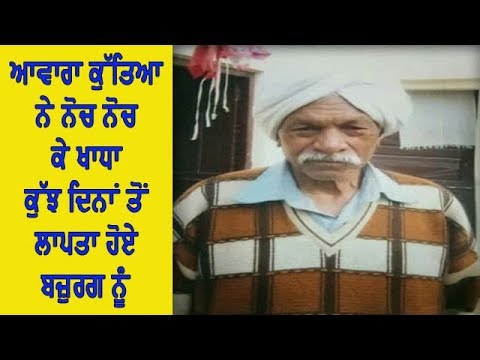 Stray dogs killed aged person - ਲਾਸ਼ ਦੇ ਟੁਕੜੇ ਤੇ ਕੱਪੜੇ ਮਿਲੇ ਝੋਨੇ ਦੇ ਖੇਤ ਚੋਂ