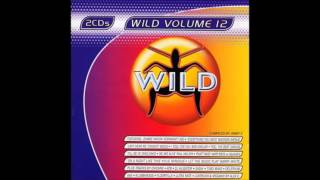 Wild Vol 12 - Megamix By Alex K