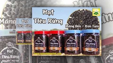 Tiêu Rừng Măng Đen Kon Tum Nhật Trường