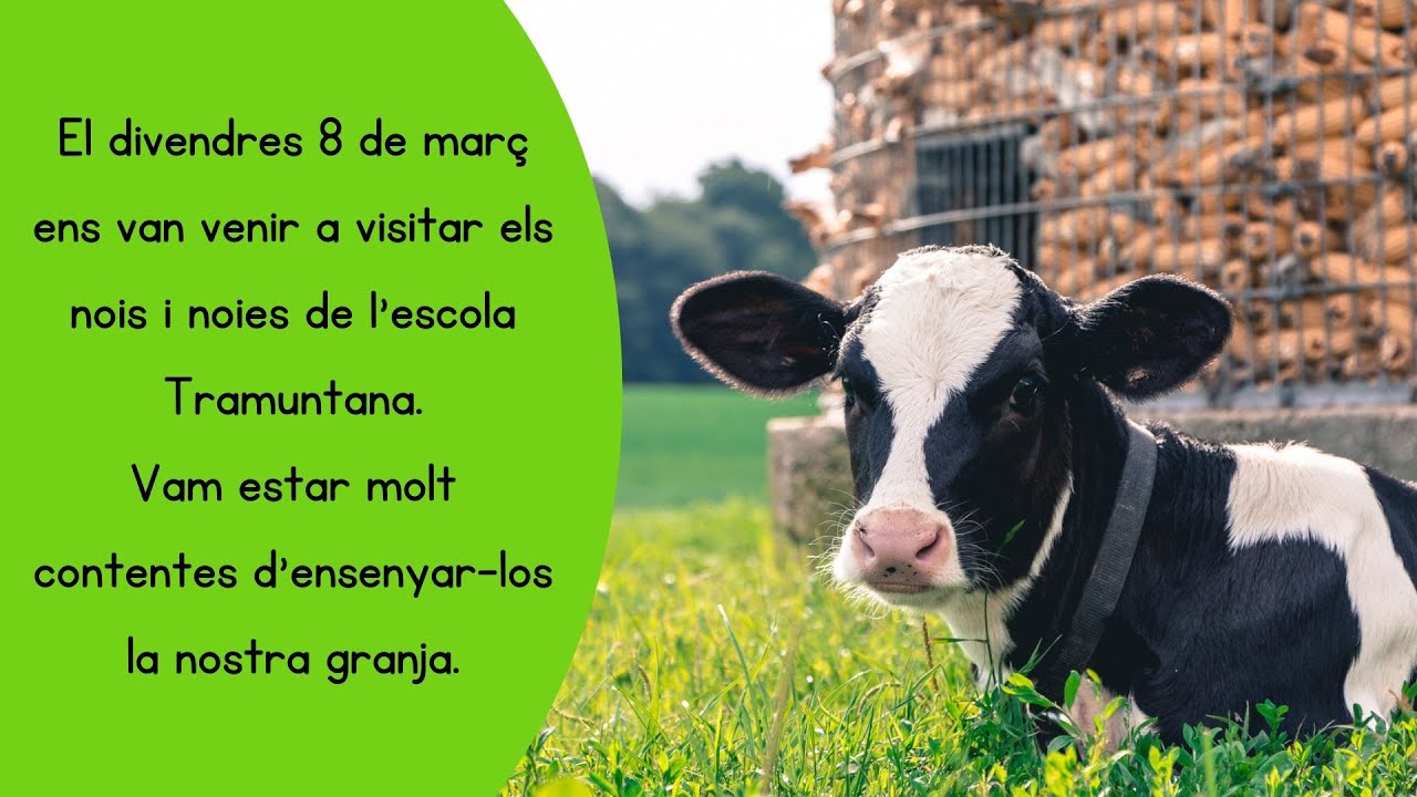 excursió a la granja