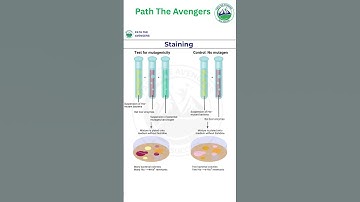 learn Biology with us|Staining|Mutagen #education#biologytricks #paththeavengers#education#biology
