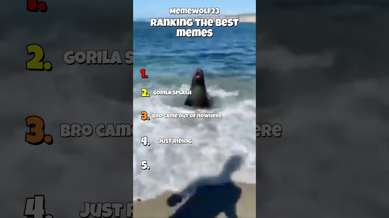 Ranking the best memes I found 😆 | 