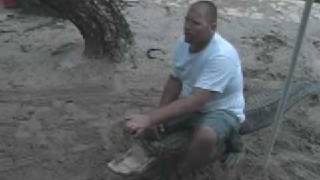 gator wrassling