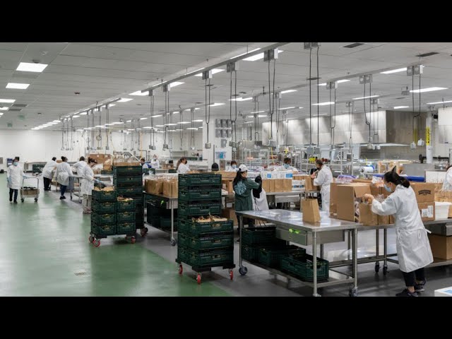 How Easy2Cook Transformed a Ready Meal Retail Network Through Centralized Factory Kitchen Production