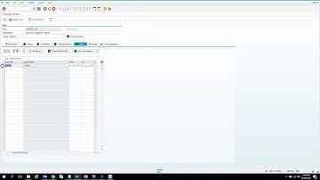 012 Create PFCG Role, Add Auth Obj and Grant Users the Role for CDS Access Control