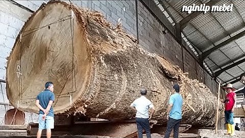 SPEKTAKULER !! Transaksi Fantastis. Kayu Jati Besar Bahan Joglo Seharga 5 Ekor Sapi Dibayar H. Udin.
