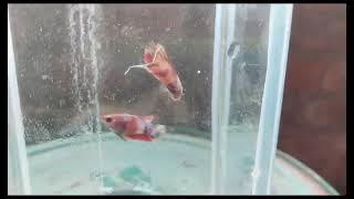 Available 😍📞7358011797